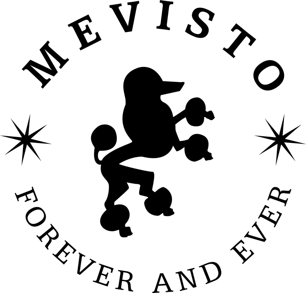 Mevisto GmbH